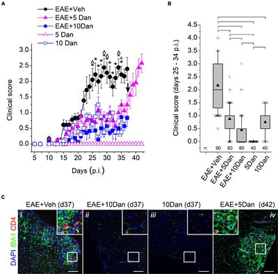 Modulation of Ryanodine Receptors Activity Alters the Course of Experimental Autoimmune Encephalomyelitis in Mice